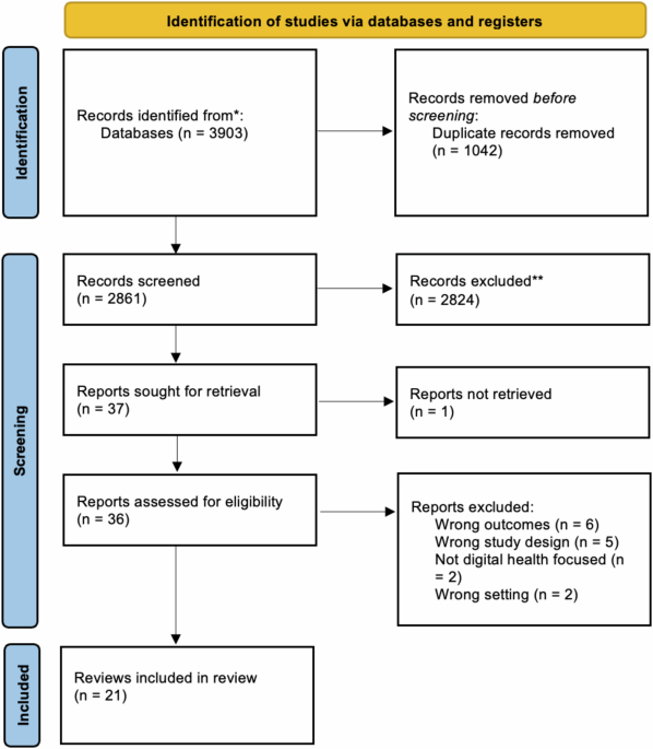 An Umbrella review on How Digital Health Intervention …