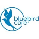 Bluebird Care - Domiciliary Care