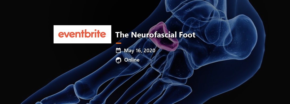 The Neurofascial Foot