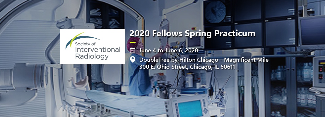 2020 Fellows Spring Practicum