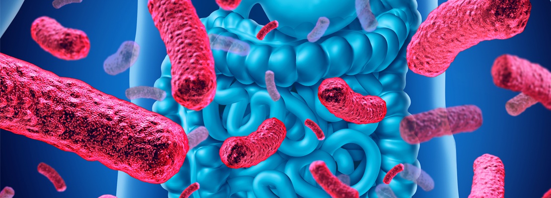 Gut Microbiota for Health World Summit 2020