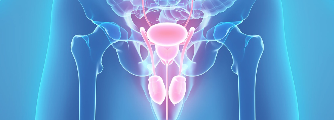 Spinal Injuries Urology Course