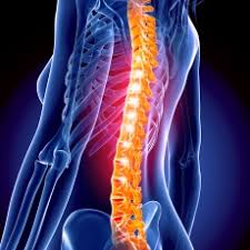 International Conference on Spine and Spinal Disorders