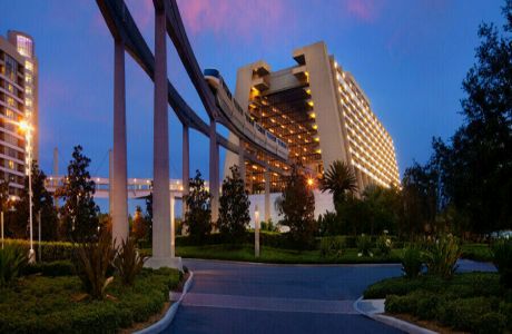 CME at Walt Disney World Orlando June 16-19, 2025