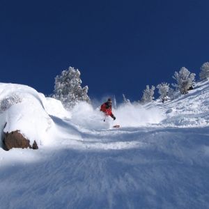 Cardiovascular Conference at Snowbird